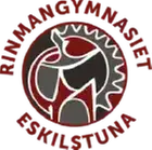 Logotyp för Rinmansgymnasiet